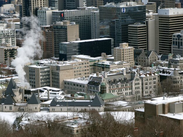 McGill University