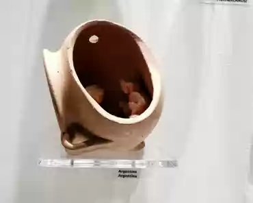 IMG_20191209_141827 Argentina.