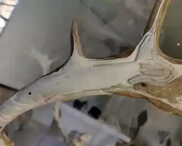 IMG_20191212_141438 Peter Morgan, The world of the caribou, caribou antler, horn, plastic and black ink, 1988.