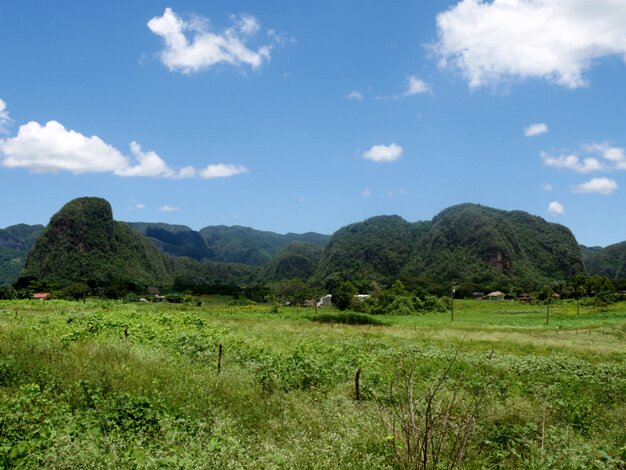 Vinales