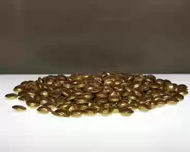 IMG_20210523_115130 Gold coins, 2nd century BC.