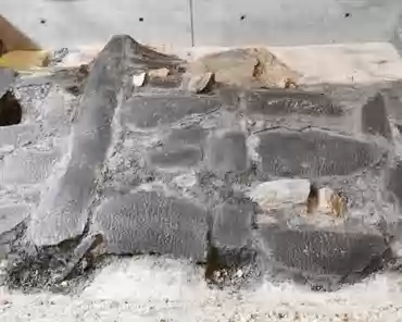 IMG_20210523_124020 Remains of a timber building.