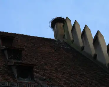 img_6842 Stork nest on top of a chimney.