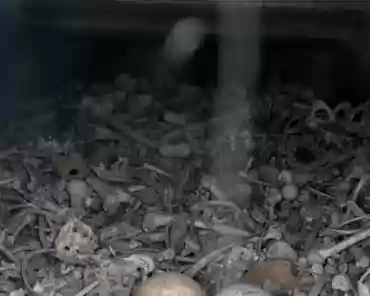 P1060692 Soldiers bones in the basement.