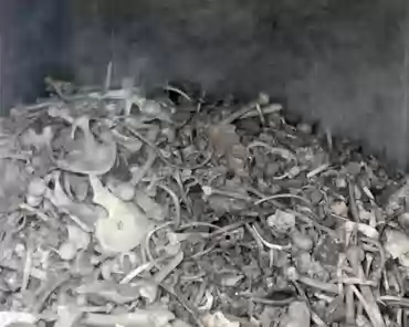 P1060694 Soldiers bones in the basement.