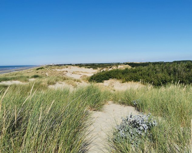 Bray dunes