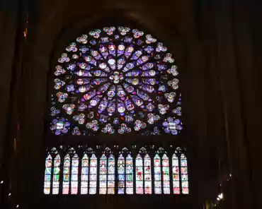 IMG_6432 South transept rose.