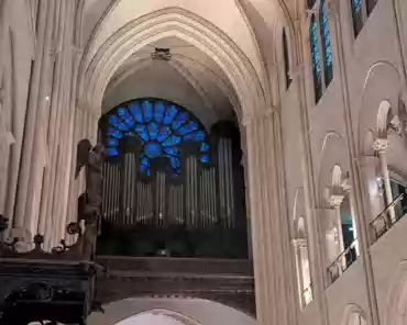 PXL_20250101_161403275 Main rose, after the 2019-2024 renovation.