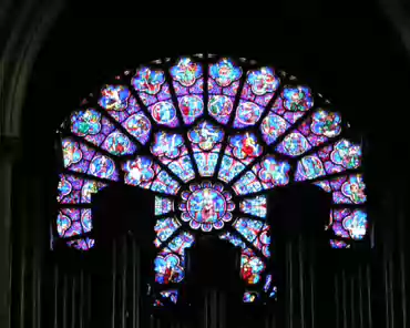 p8210077 The main rose.