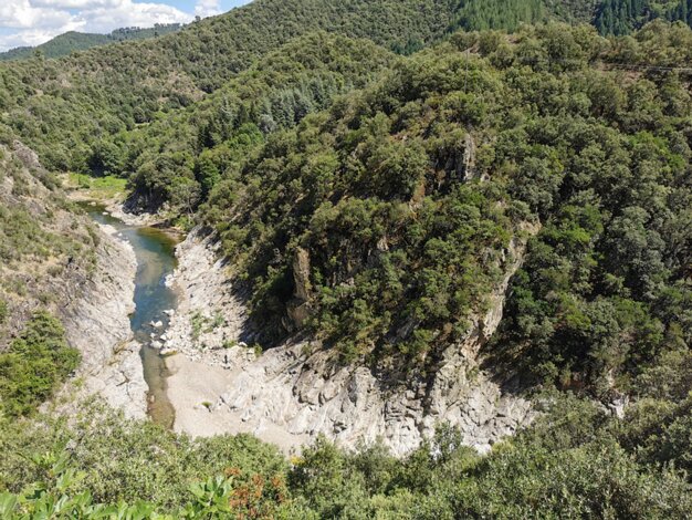 Cévennes