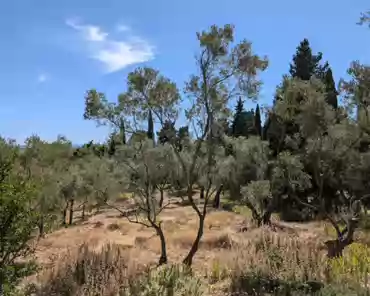 PXL_20240809_123308294