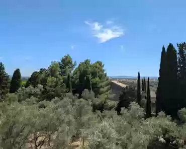 PXL_20240809_123511823