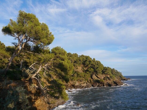 Rayol domain - Mediterranean gardens