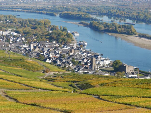Rüdesheim-am-Rhein