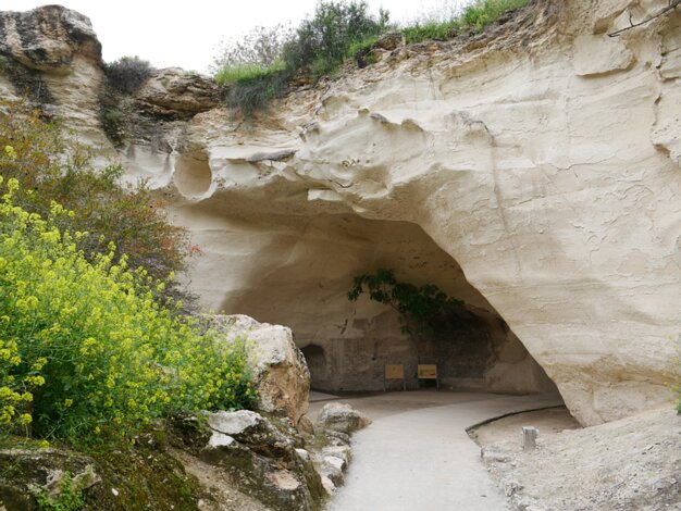 Bell caves