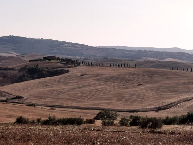 Orcia