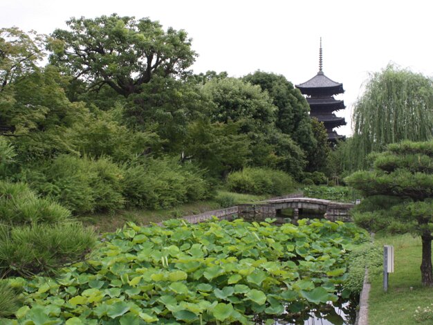 To-ji temple