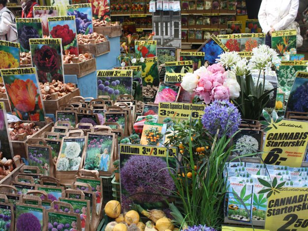 Flower Market