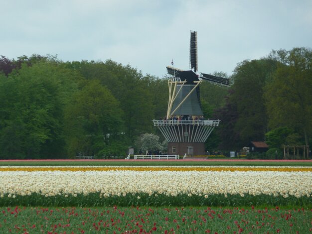 Kinderdijk
