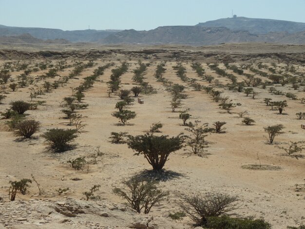 Wadi Dawkah