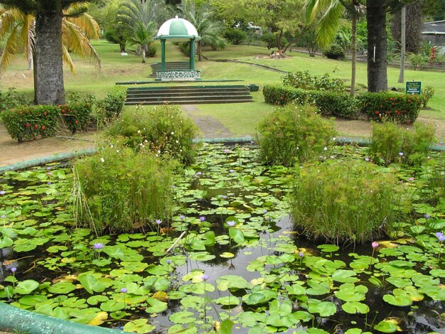 Botanical Garden