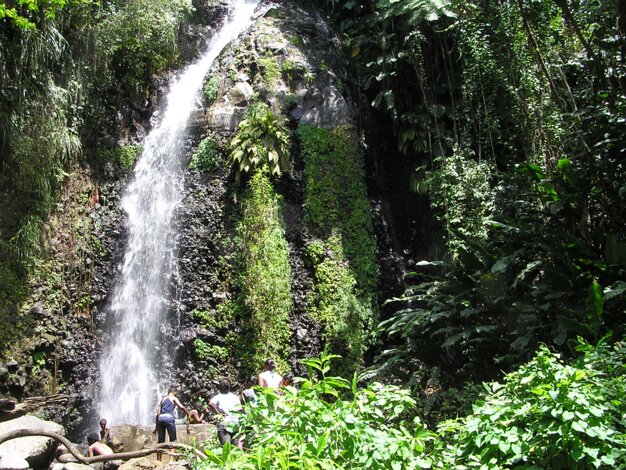 Darkview Falls