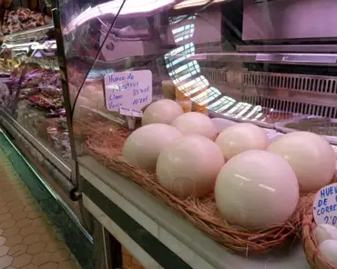 P1200780 Ostrich eggs.