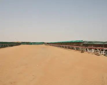 img_1566 Camel race track.