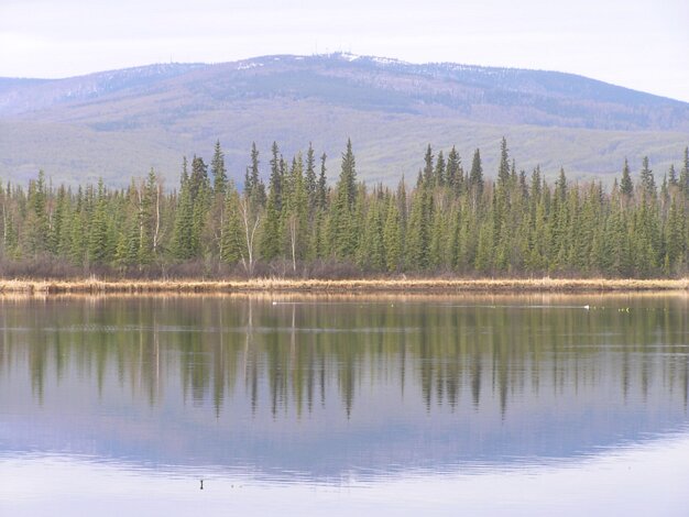 Fairbanks