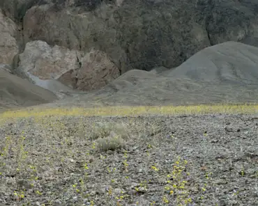 P1210855 During the 2016 superbloom.