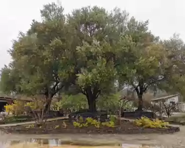 IMG-20230225-104456 Courtyard.