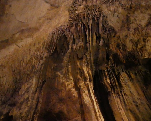 Rio Camuy Caves
