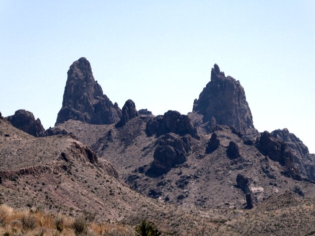 Mule ears