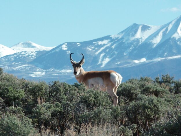 La Sal Junction