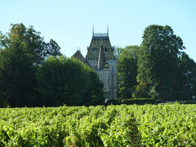 Vineyards