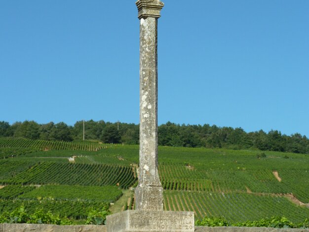 Vosnes-Romanée