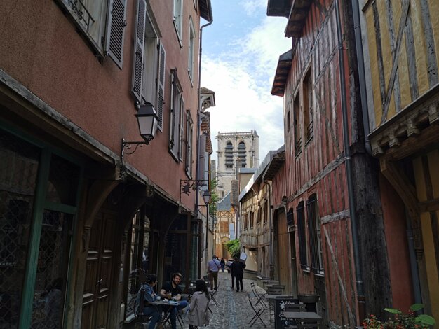 Ruelle des chats