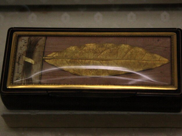 Napoleon I Museum