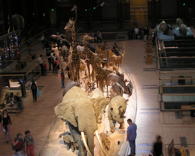 Natural history museum