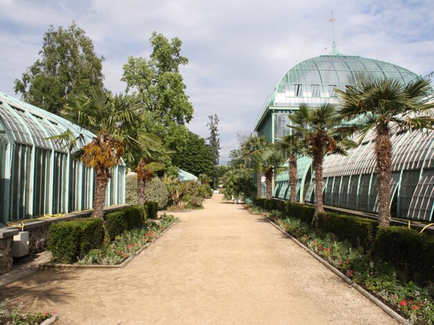 Auteuil greenhouses