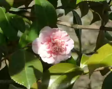 P1070762