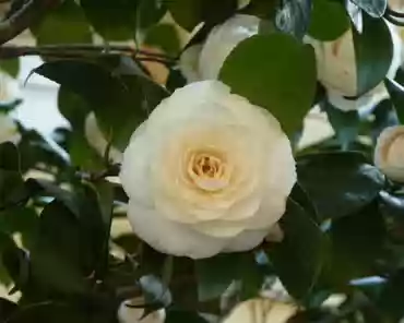 P1070765