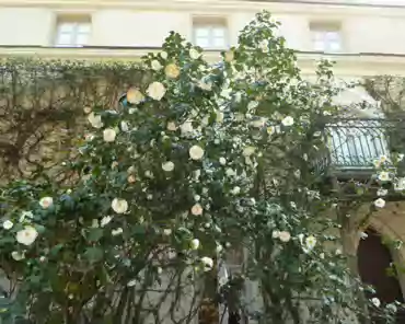 P1070766