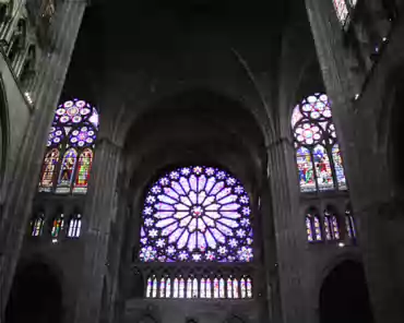 IMG_6673 Transept rose.