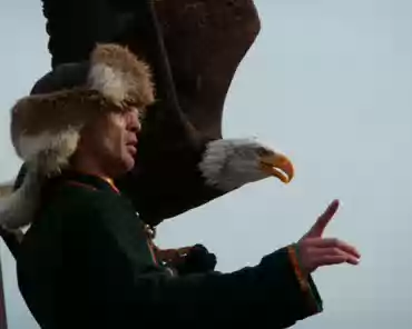 p1000696 Eagle.