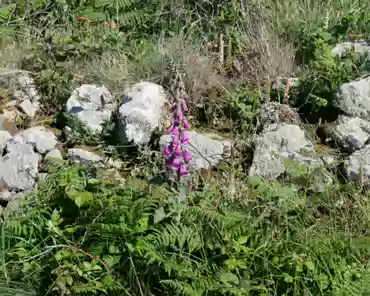 P1180908