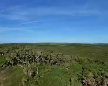 P1060274