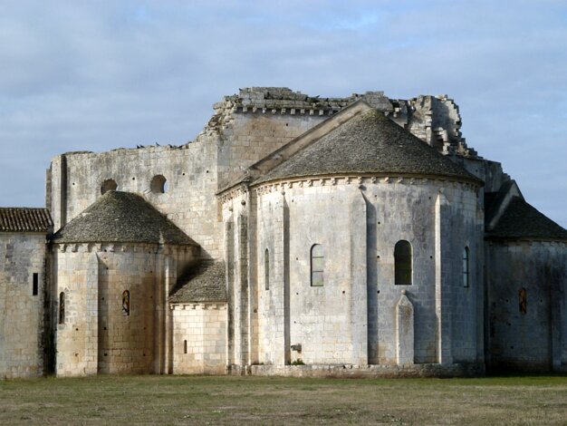 Trizay
