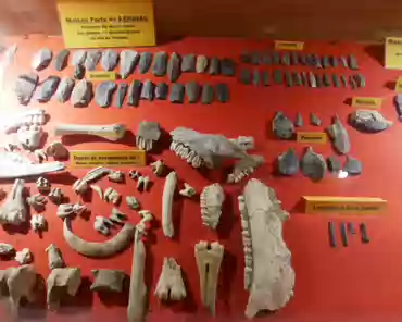P1120731