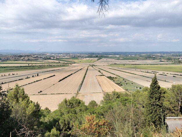 Montady